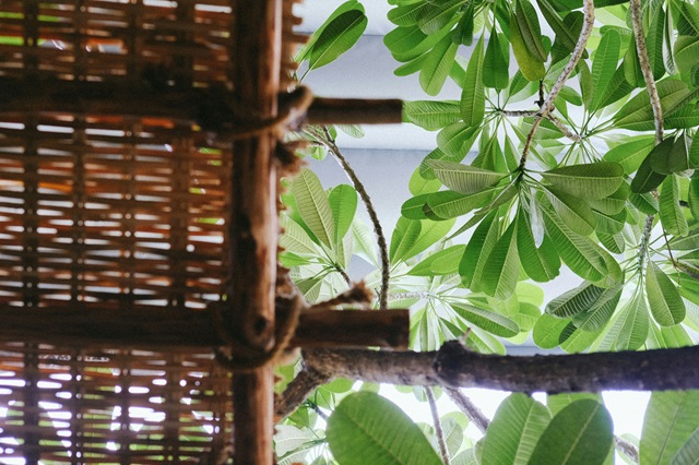 Jak wykorzystać maty wiklinowe w aranżacji ogrodu?